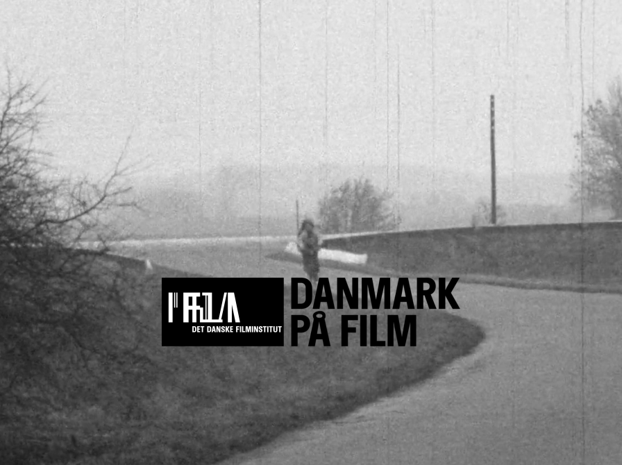 Danmark på film